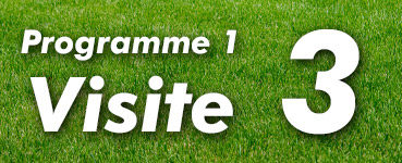 Programme de fertilisation 1, traitement 3 | Pelouse-trepanier.com