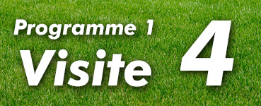 Programme de fertilisation 1, traitement 4 | Pelouse-trepanier.com