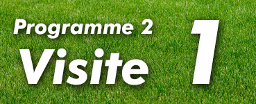 Programme de fertilisation 2, traitement 1 | Pelouse-trepanier.com